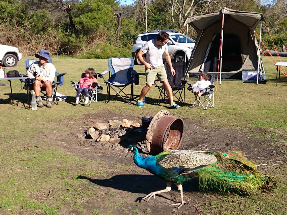 Camping & Caravan Parks in the Shoalhaven