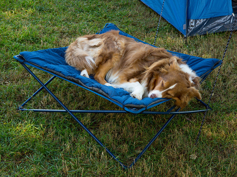 Camping Gear for Pets