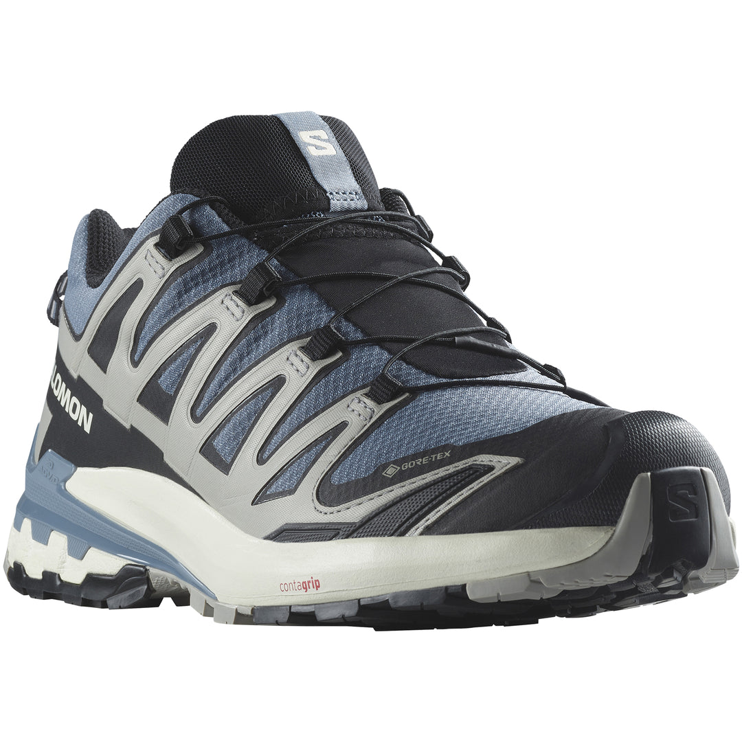 XA PRO 3D v9 GTX Men's Walking Shoes