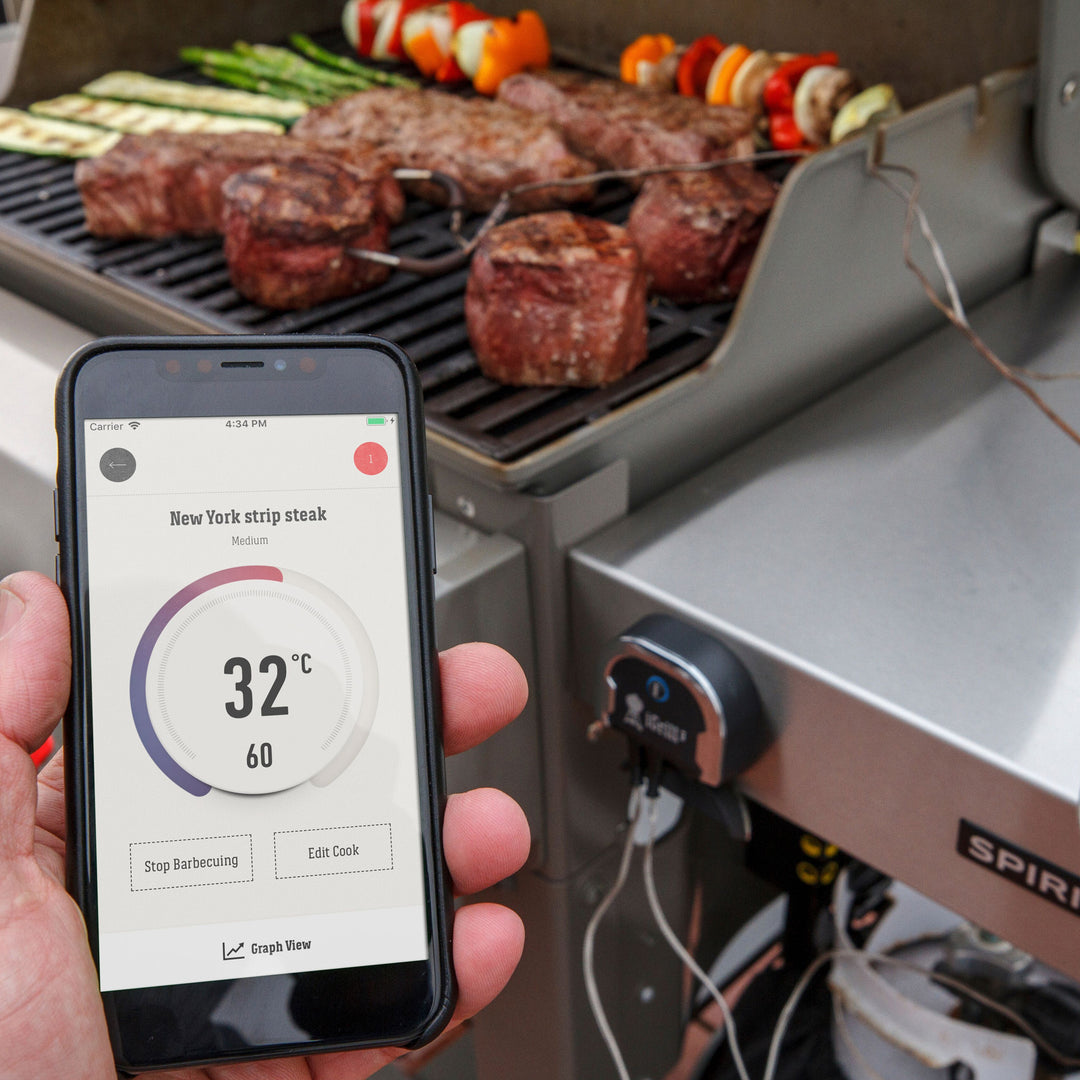 Weber 7204 iGrill 3 Grill Thermometer 